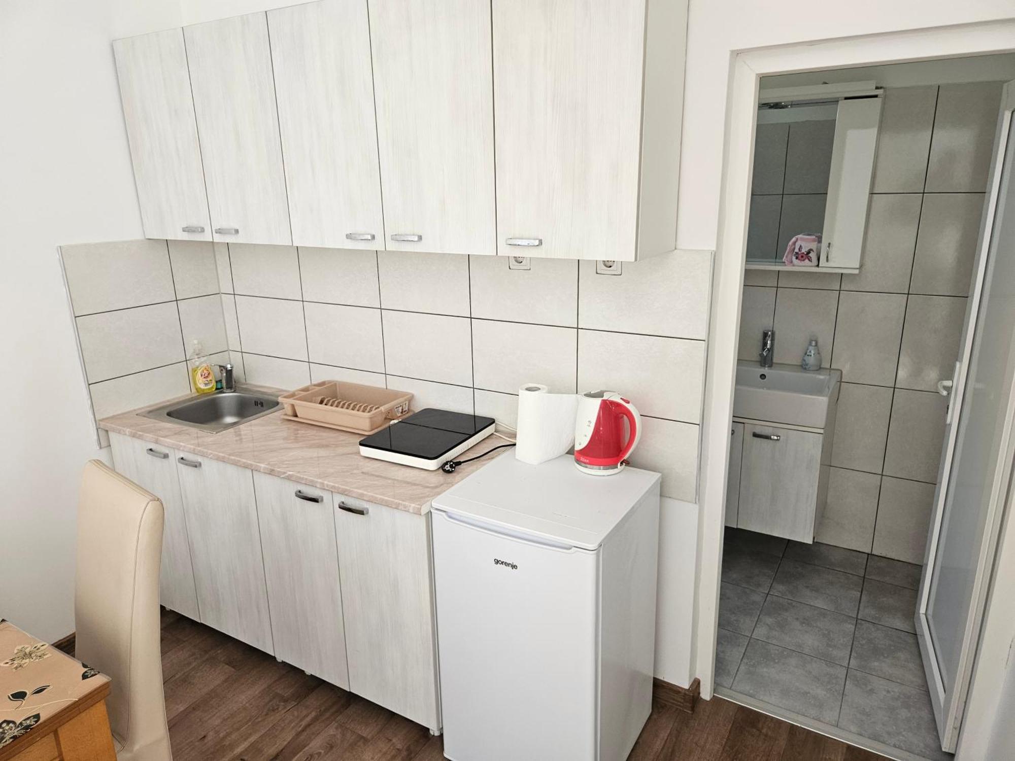 Apartments Kuca Aleksic Ni 외부 사진